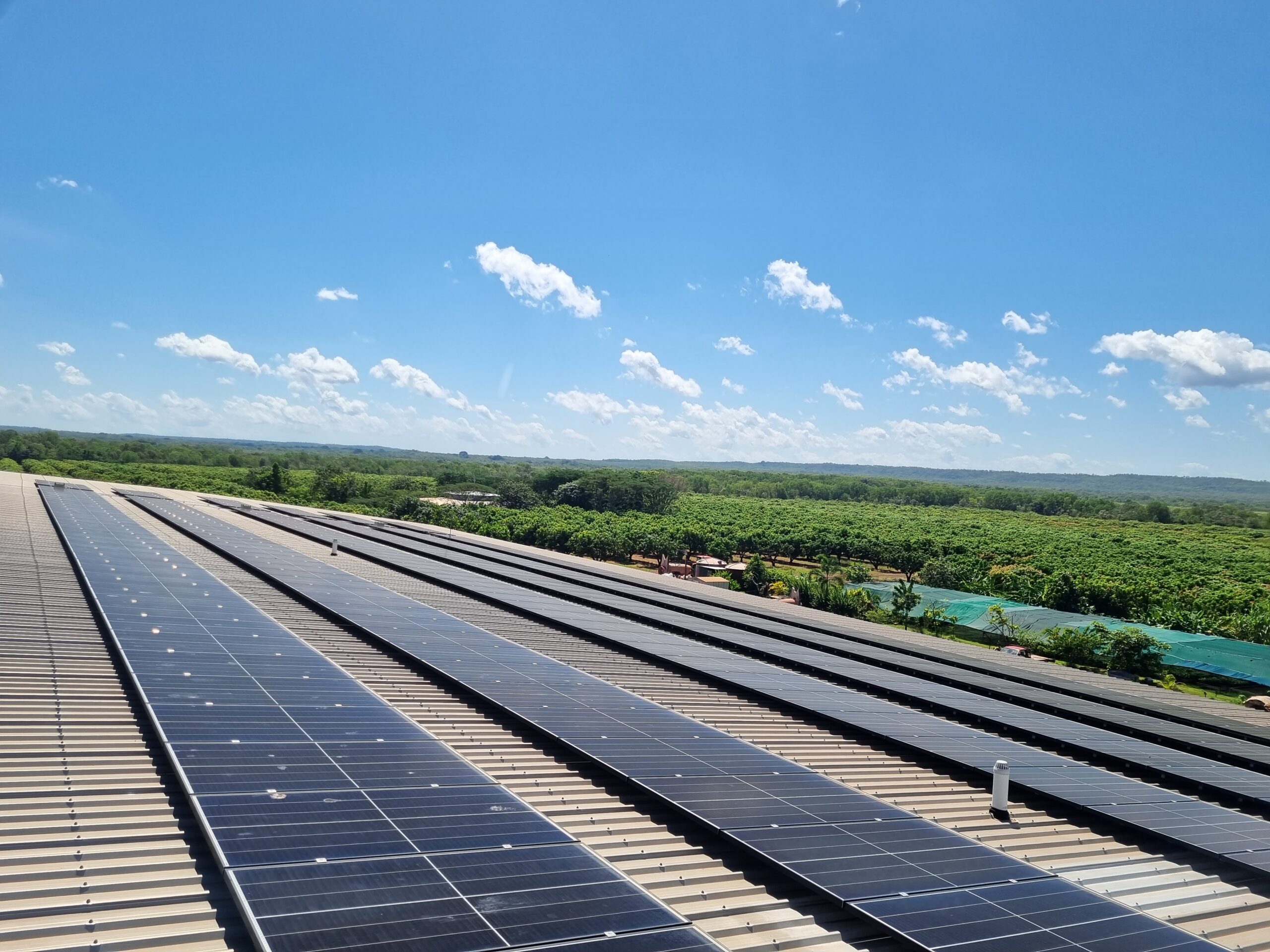 solar panels